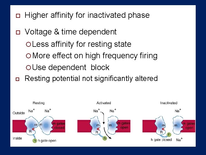  Higher affinity for inactivated phase Voltage & time dependent Less affinity for resting