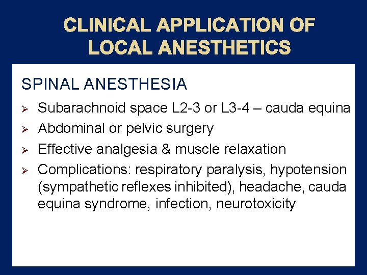 CLINICAL APPLICATION OF LOCAL ANESTHETICS SPINAL ANESTHESIA Ø Ø Subarachnoid space L 2 -3