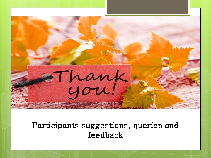 Participants suggestions, queries and feedback 