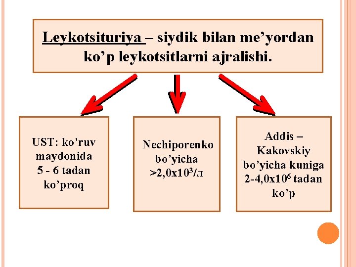 Leykotsituriya – siydik bilan me’yordan ko’p leykotsitlarni ajralishi. UST: ko’ruv maydonida 5 - 6