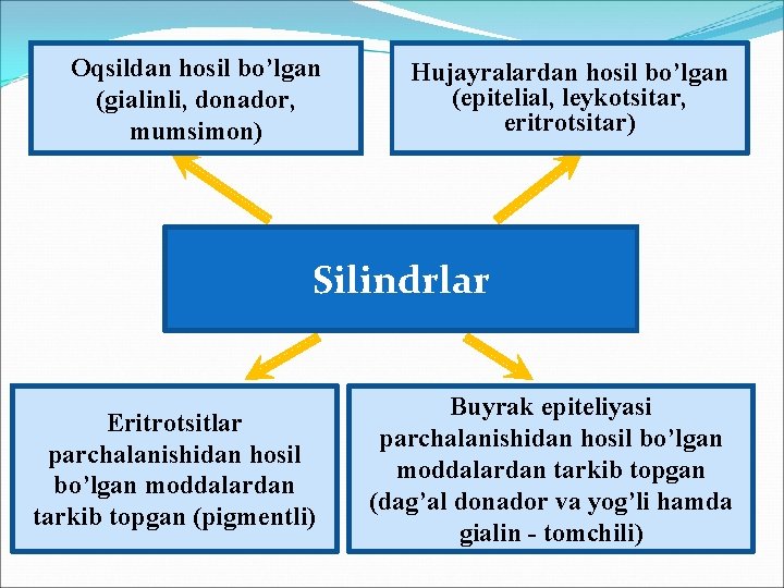 Oqsildan hosil bo’lgan (gialinli, donador, mumsimon) Hujayralardan hosil bo’lgan (epitelial, leykotsitar, eritrotsitar) Silindrlar Eritrotsitlar