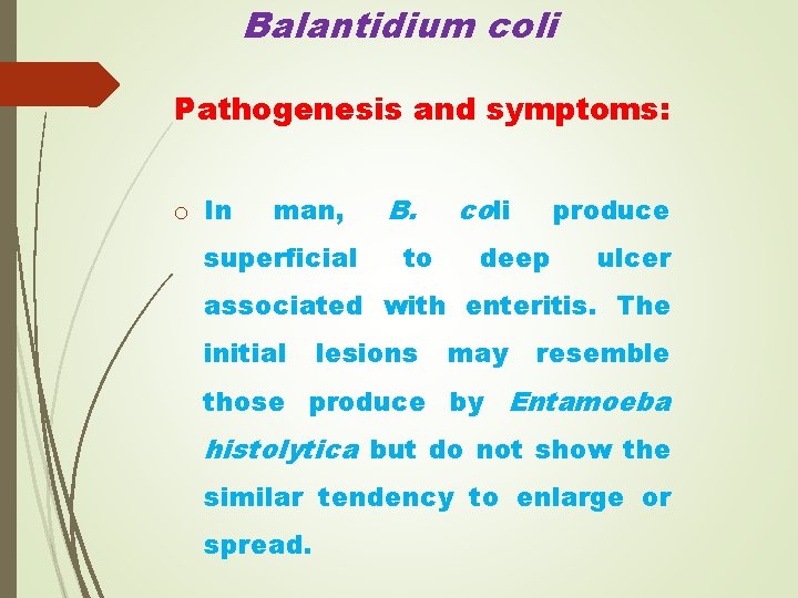 Balantidium coli Pathogenesis and symptoms: o In man, superficial B. to coli produce deep