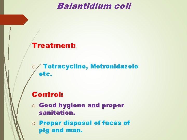 Balantidium coli Treatment: o Tetracycline, Metronidazole etc. Control: o Good hygiene and proper sanitation.