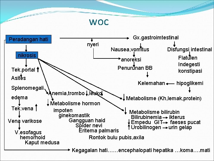 woc Peradangan hati Gx. gastroimtestinal nyeri nikrosis Asites edema Disfungsi intestinal anoreksi Flatulen Indegesti