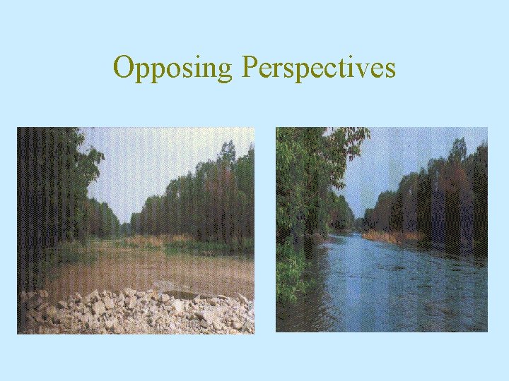 Opposing Perspectives 