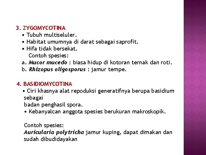3. ZYGOMYCOTINA • Tubuh multiseluler. • Habitat umumnya di darat sebagai saprofit. • Hifa