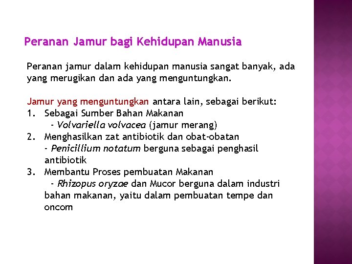 Peranan Jamur bagi Kehidupan Manusia Peranan jamur dalam kehidupan manusia sangat banyak, ada yang