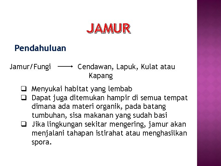 JAMUR Pendahuluan Jamur/Fungi Cendawan, Lapuk, Kulat atau Kapang q Menyukai habitat yang lembab q