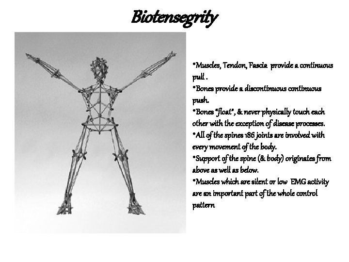 Biotensegrity • Muscles, Tendon, Fascia provide a continuous pull. • Bones provide a discontinuous