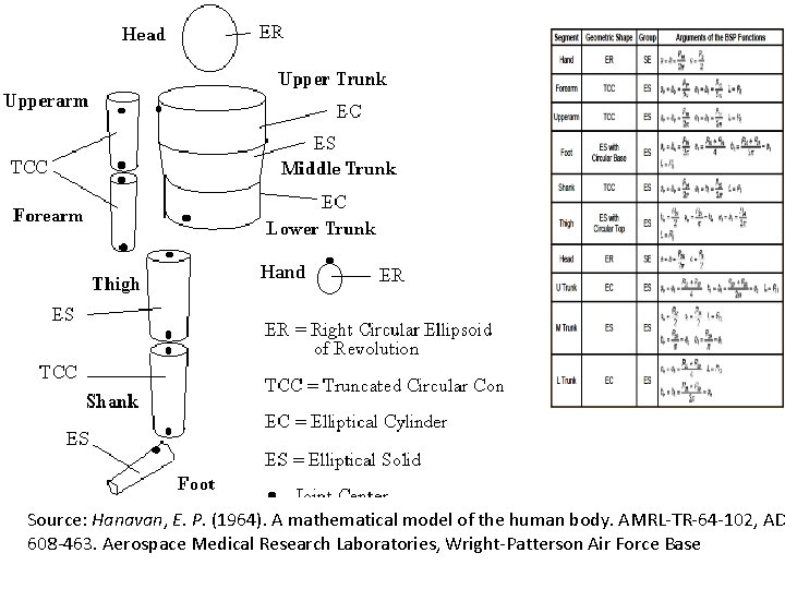 Source: Hanavan, E. P. (1964). A mathematical model of the human body. AMRL-TR-64 -102,