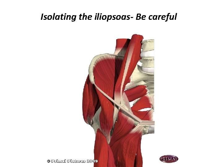 Isolating the iliopsoas- Be careful 