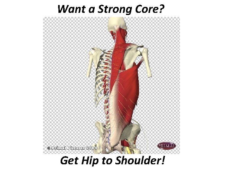 Want a Strong Core? Get Hip to Shoulder! 