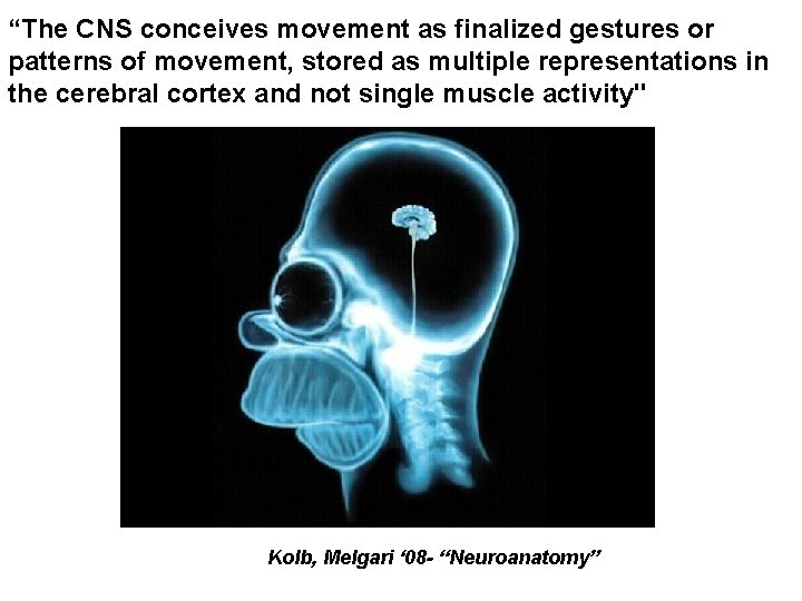 “The CNS conceives movement as finalized gestures or patterns of movement, stored as multiple