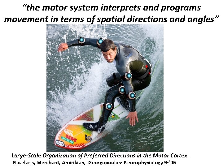 “the motor system interprets and programs movement in terms of spatial directions and angles”