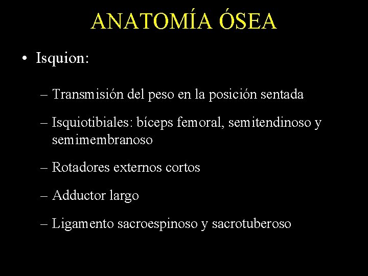 ANATOMÍA ÓSEA • Isquion: – Transmisión del peso en la posición sentada – Isquiotibiales: