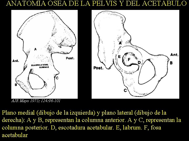 ANATOMÍA ÓSEA DE LA PELVIS Y DEL ACETÁBULO AJR Mayo 1975; 124: 96 -101