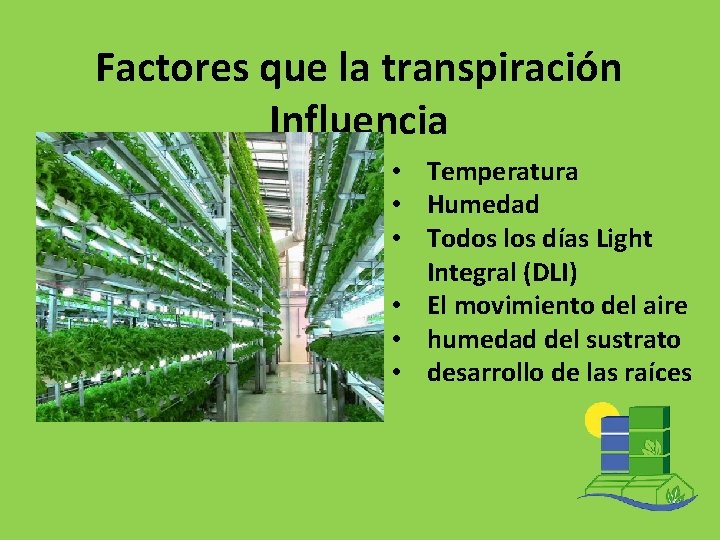 Factores que la transpiración Influencia • Temperatura • Humedad • Todos los días Light