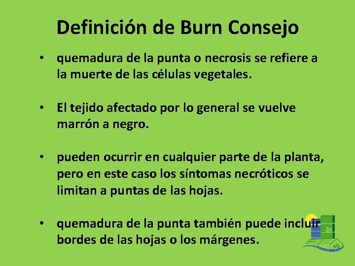 Definición de Burn Consejo • quemadura de la punta o necrosis se refiere a