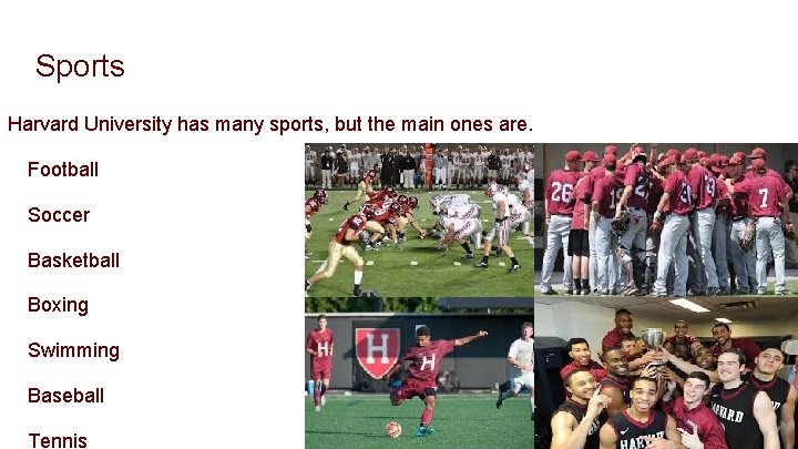 Sports Harvard University has many sports, but the main ones are. Football Soccer Basketball
