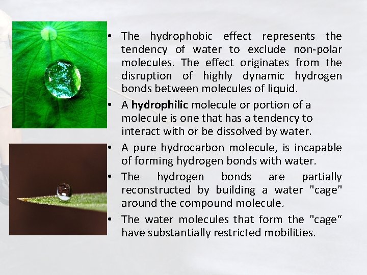  • The hydrophobic effect represents the tendency of water to exclude non-polar molecules.