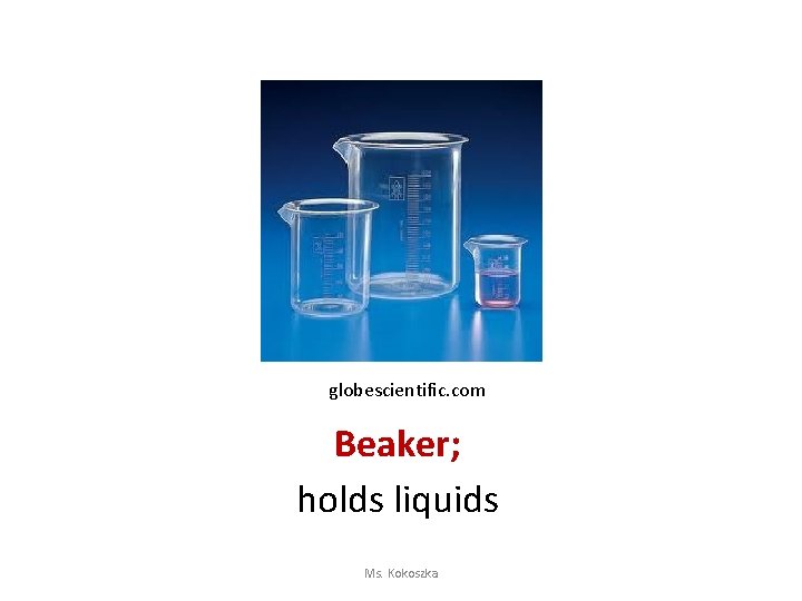 globescientific. com Beaker; holds liquids Ms. Kokoszka 