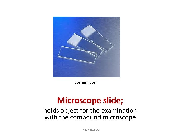 corning. com Microscope slide; holds object for the examination with the compound microscope Ms.