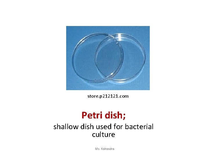 store. p 212121. com Petri dish; shallow dish used for bacterial culture Ms. Kokoszka