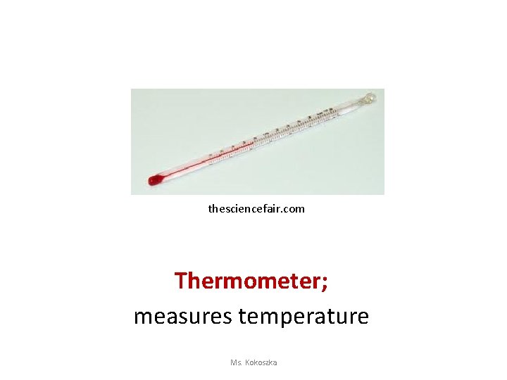 thesciencefair. com Thermometer; measures temperature Ms. Kokoszka 