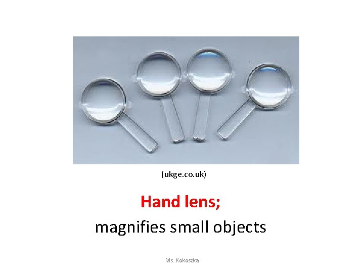 (ukge. co. uk) Hand lens; magnifies small objects Ms. Kokoszka 