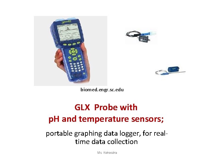 biomed. engr. sc. edu GLX Probe with p. H and temperature sensors; portable graphing