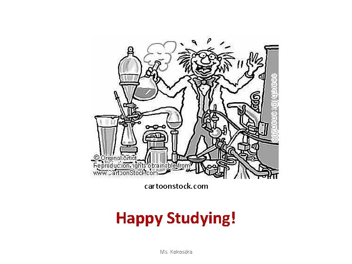 cartoonstock. com Happy Studying! Ms. Kokoszka 