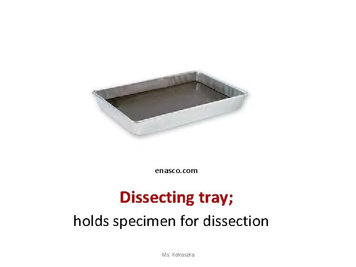 enasco. com Dissecting tray; holds specimen for dissection Ms. Kokoszka 