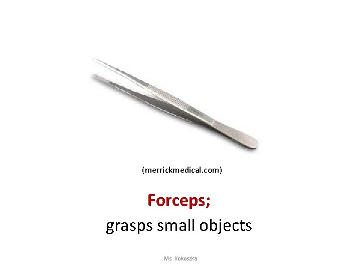 (merrickmedical. com) Forceps; grasps small objects Ms. Kokoszka 