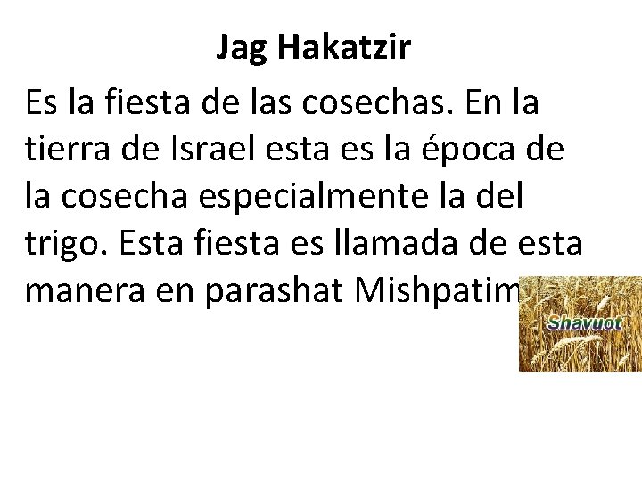 Jag Hakatzir Es la fiesta de las cosechas. En la tierra de Israel esta