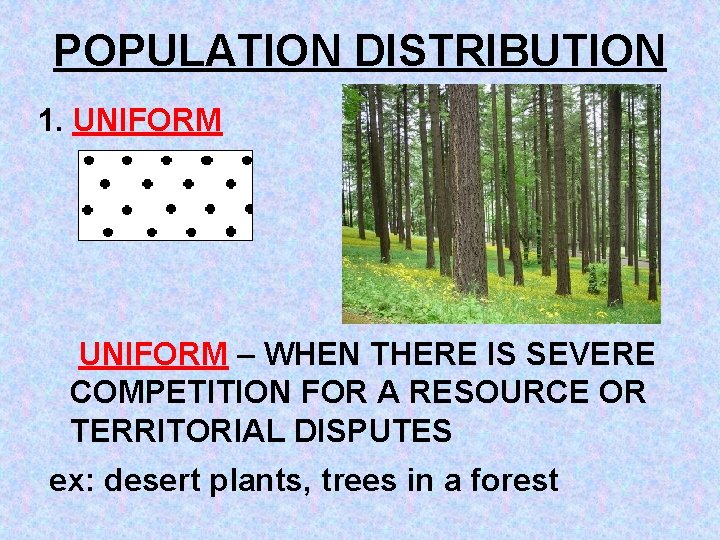 POPULATION DISTRIBUTION 1. UNIFORM – WHEN THERE IS SEVERE COMPETITION FOR A RESOURCE OR