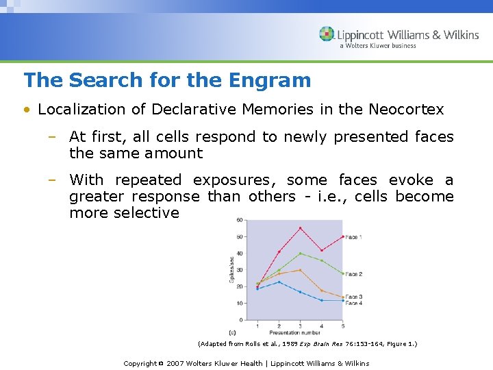 The Search for the Engram • Localization of Declarative Memories in the Neocortex –