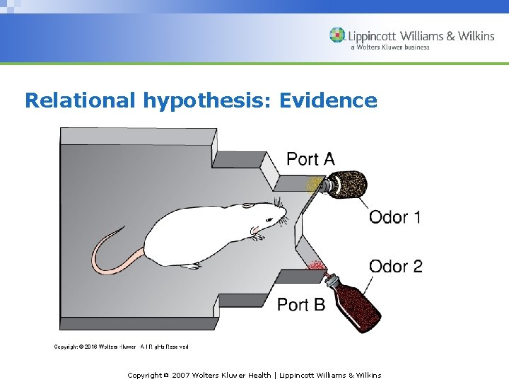 Relational hypothesis: Evidence Copyright © 2007 Wolters Kluwer Health | Lippincott Williams & Wilkins