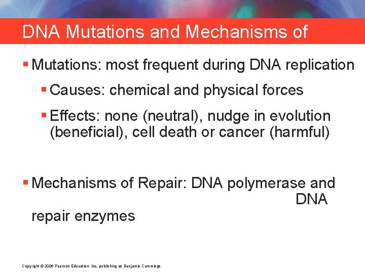 DNA Mutations and Mechanisms of Repair § Mutations: most frequent during DNA replication §