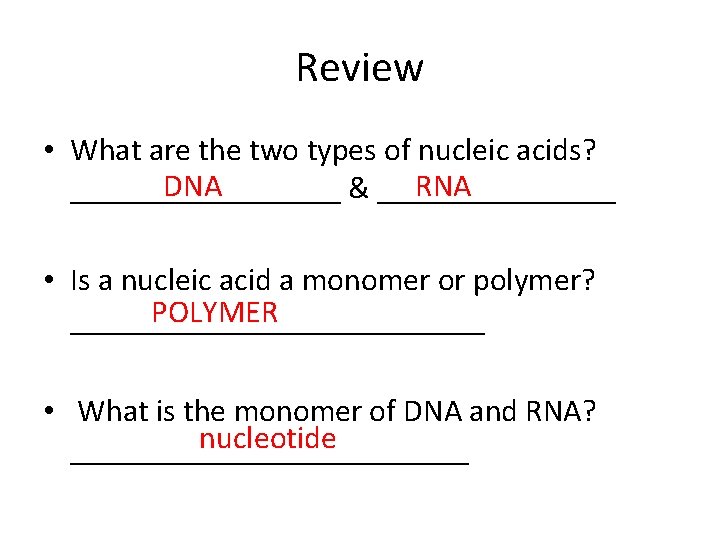 Review • What are the two types of nucleic acids? DNA RNA _________ &