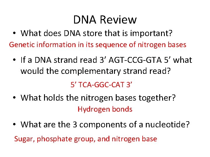 DNA Review • What does DNA store that is important? Genetic information in its