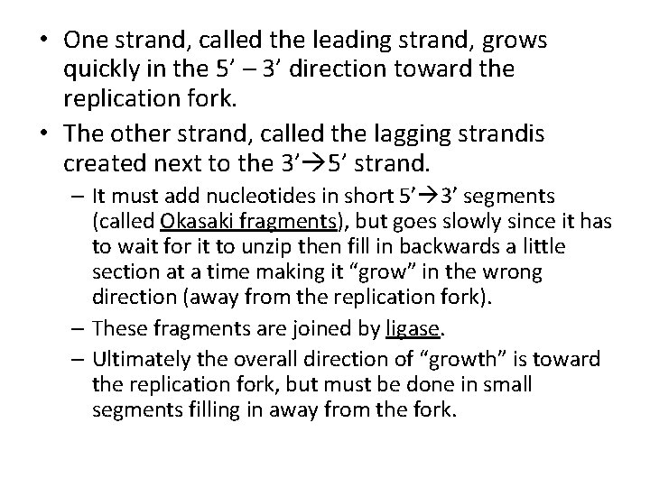  • One strand, called the leading strand, grows quickly in the 5’ –