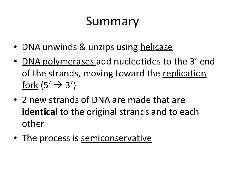 Summary • DNA unwinds & unzips using helicase • DNA polymerases add nucleotides to