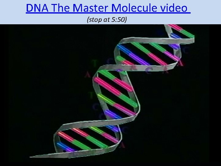 DNA The Master Molecule video (stop at 5: 50) 