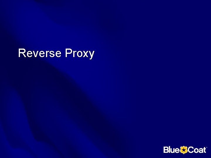 Reverse Proxy 