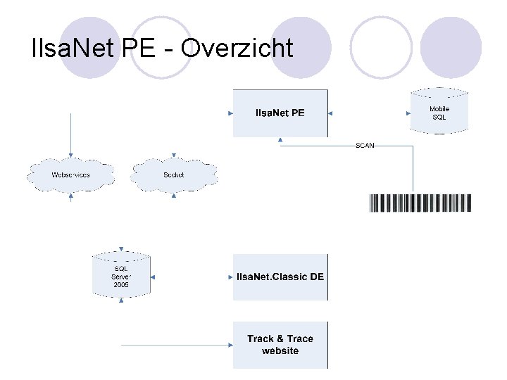 Ilsa. Net PE - Overzicht 