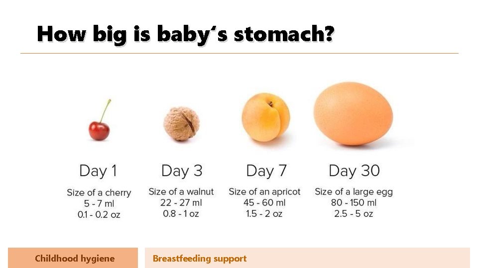 How big is baby‘s stomach? Childhood hygiene Breastfeeding support 