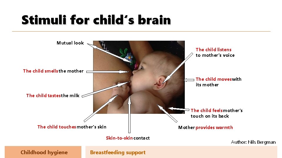 Stimuli for child‘s brain Mutual look The child listens to mother‘s voice The child