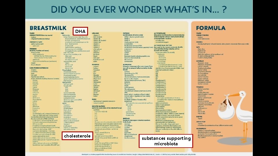 DHA cholesterole substances supporting microbiota 