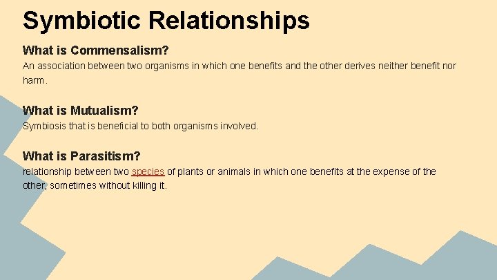 Symbiotic Relationships What is Commensalism? An association between two organisms in which one benefits