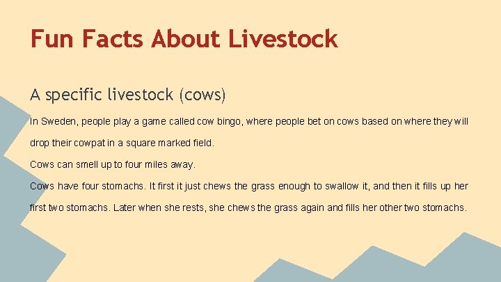 Fun Facts About Livestock A specific livestock (cows) In Sweden, people play a game